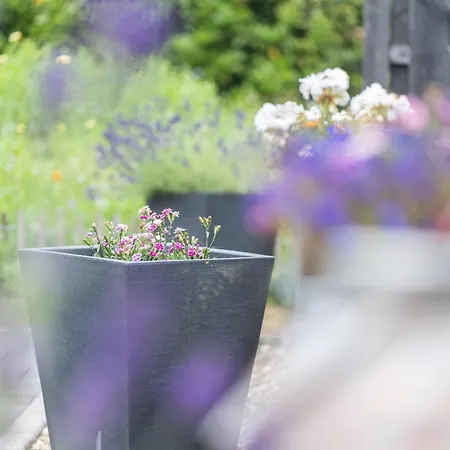 Landleben 35195 Apartman Hesel