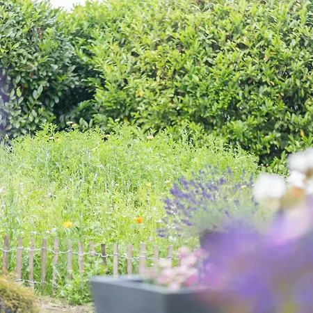 Landleben 35195 Hesel